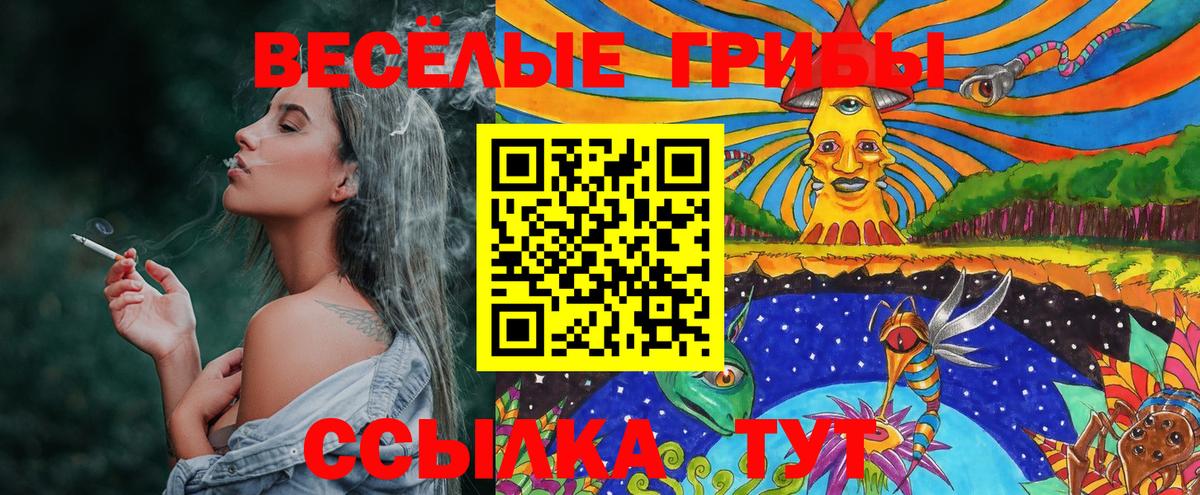 Псилоцибиновые грибы MAGIC MUSHROOMS  хочу   Вход с VPN  Кострома  Псилоцибиновые грибы прущие грибы 