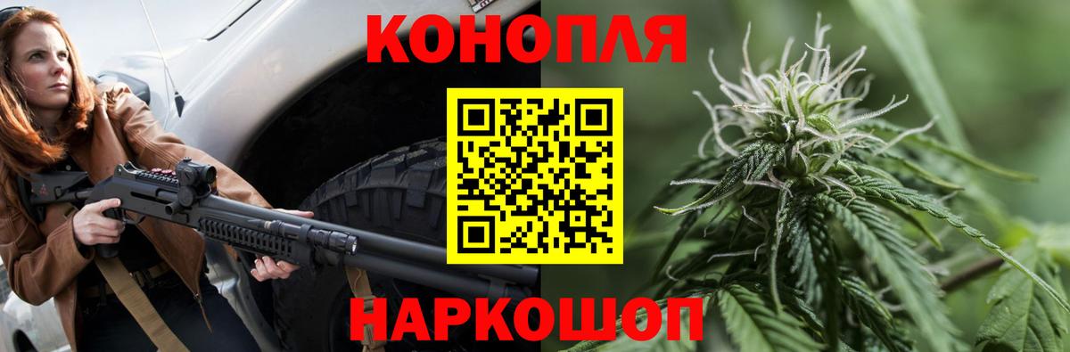 Канабис гибрид Кострома